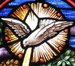 Holy Spirit dove stained glass detail[2]